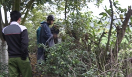 Hà Nội: Phát hiện thi thể người đàn ông tại cánh đồng